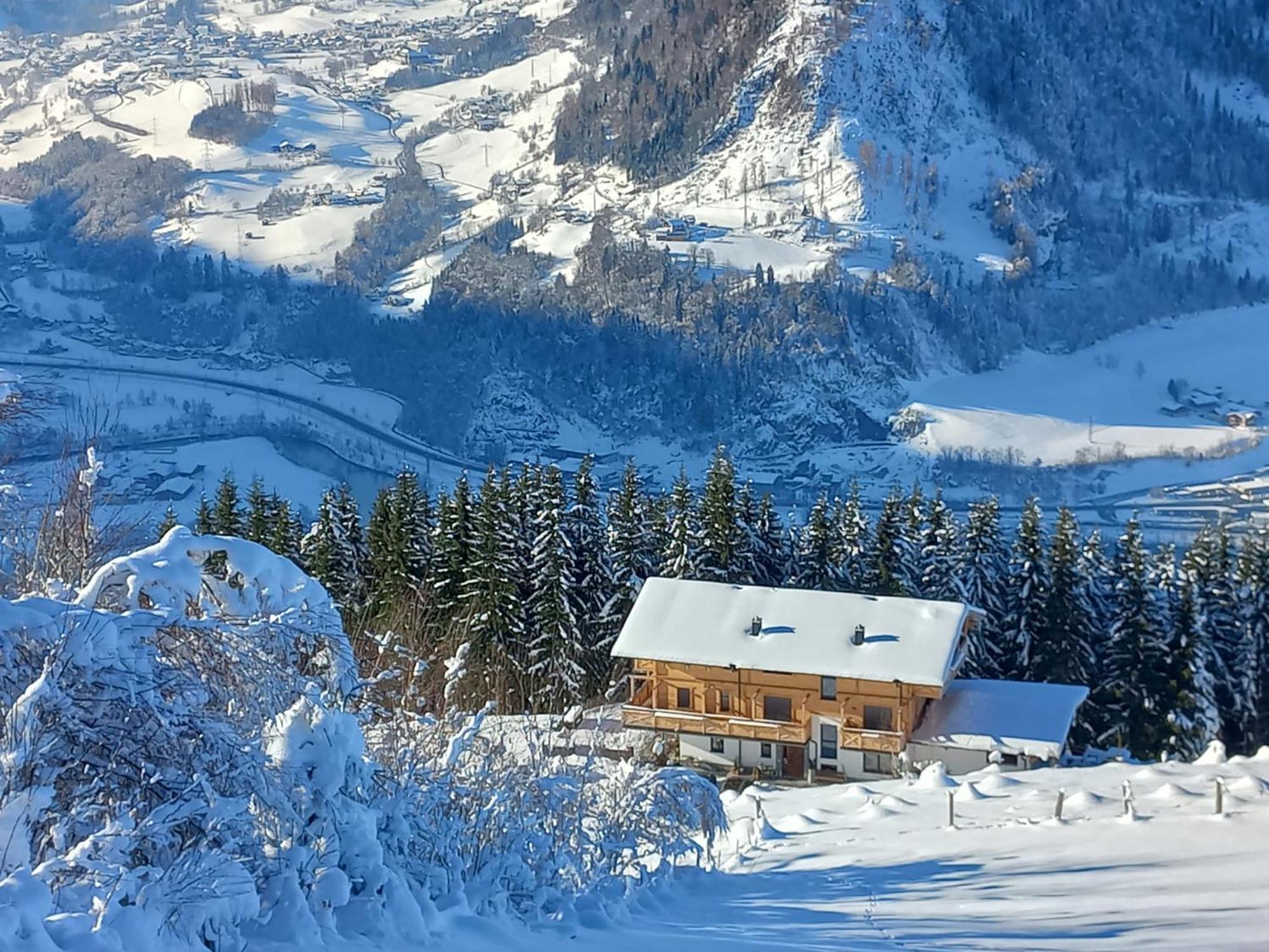 Appartement Taurachhof Astlehen à Alpendorf  Extérieur photo